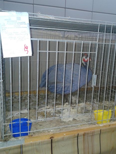 Fotografie0102 - 29---expozitie Leipzig- Germania 2018