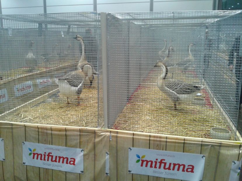 Fotografie0179 - 29---expozitie Leipzig- Germania 2018