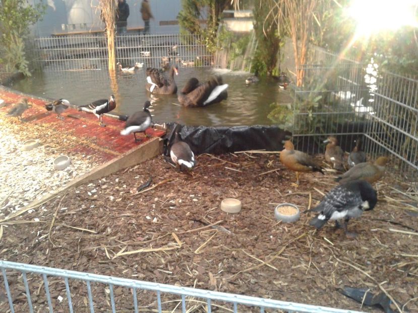 Fotografie0194 - 29---expozitie Leipzig- Germania 2018