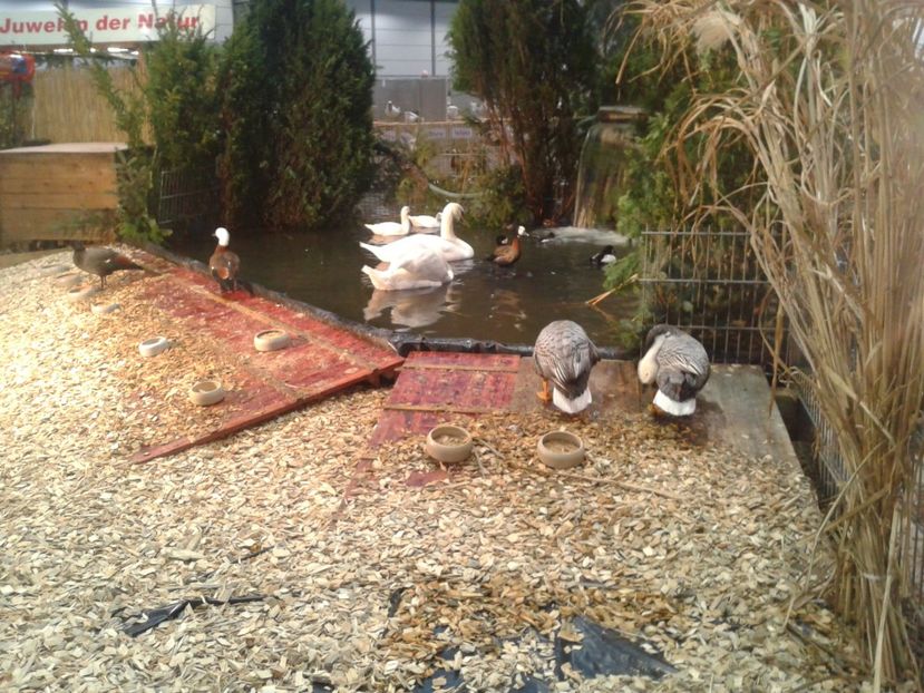 Fotografie0197 - 29---expozitie Leipzig- Germania 2018