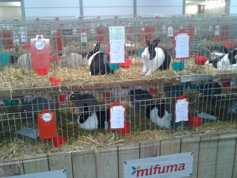 Fotografie0219 - 29---expozitie Leipzig- Germania 2018