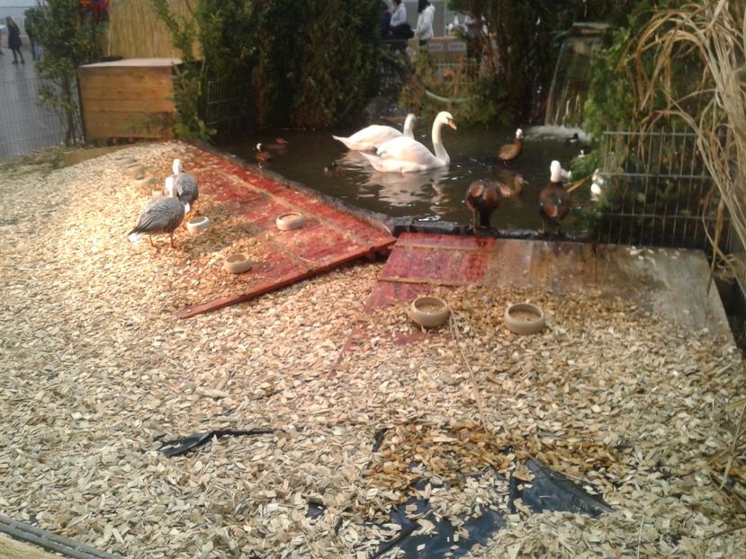 Fotografie0255 - 29---expozitie Leipzig- Germania 2018