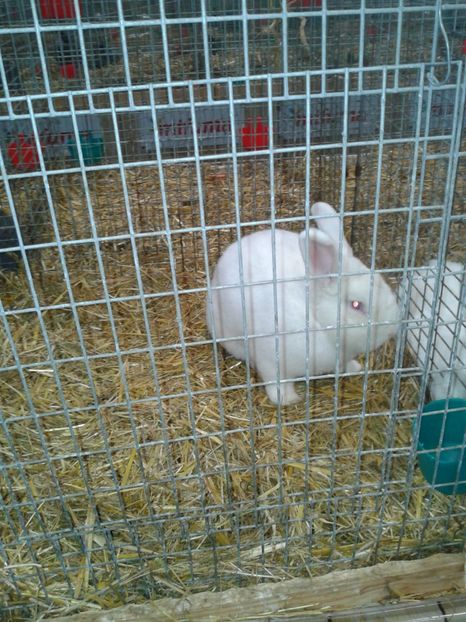 Fotografie0266 - 29---expozitie Leipzig- Germania 2018