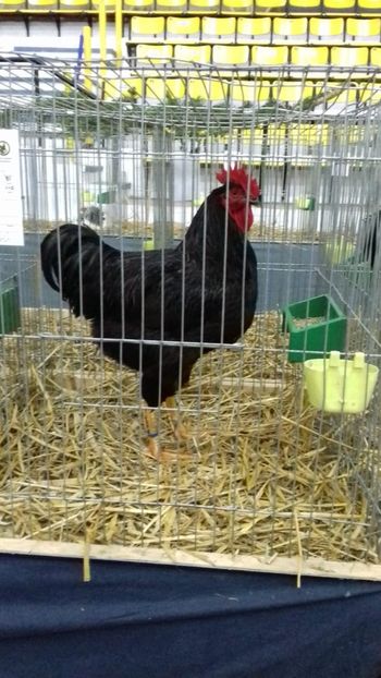 IMG-20181221-WA0011 - RHODE ISLAND