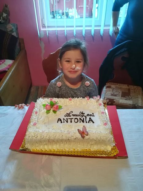  - Antonia si tortu la 2 ani 3 ani 4 ani