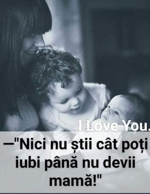  - Poze 5