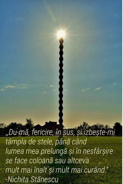  - Poze 5