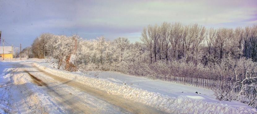 Untitled_TEIOASA1 - PEISAJE HIBERNALE