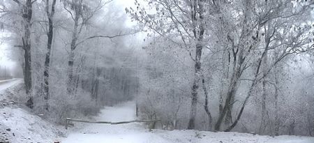Panorama 2TEIOASA_tonemapped - PEISAJE IN INFRA-ROSU
