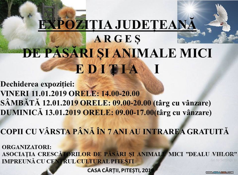  - Expo Arges 2019