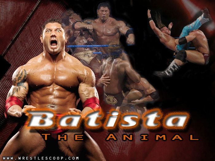 batistawallpaper[1] - dave batista