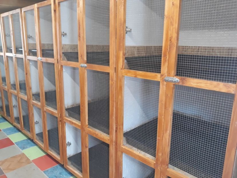  - A---RENOVARE ADAPOST