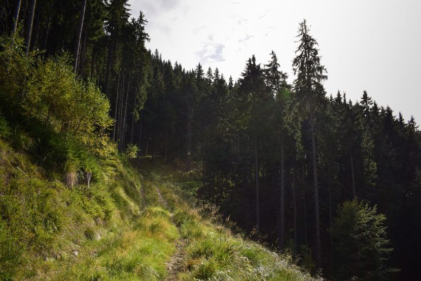  - Inceput de septembrie