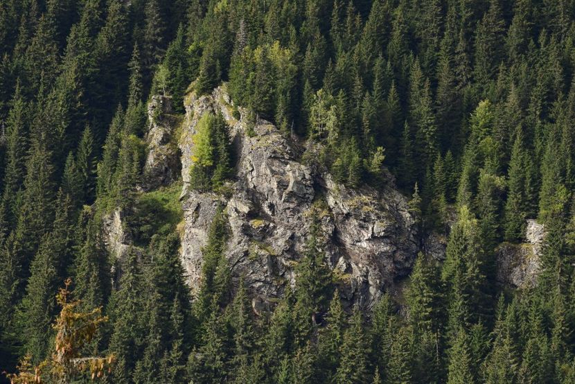  - Inceput de septembrie