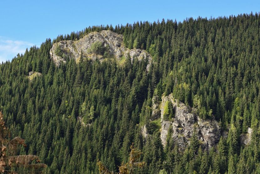  - Inceput de septembrie