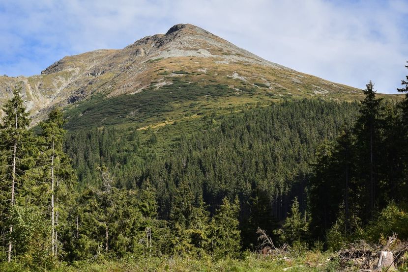  - Inceput de septembrie