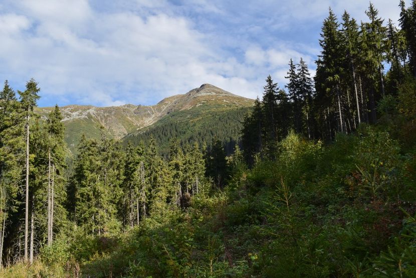  - Inceput de septembrie