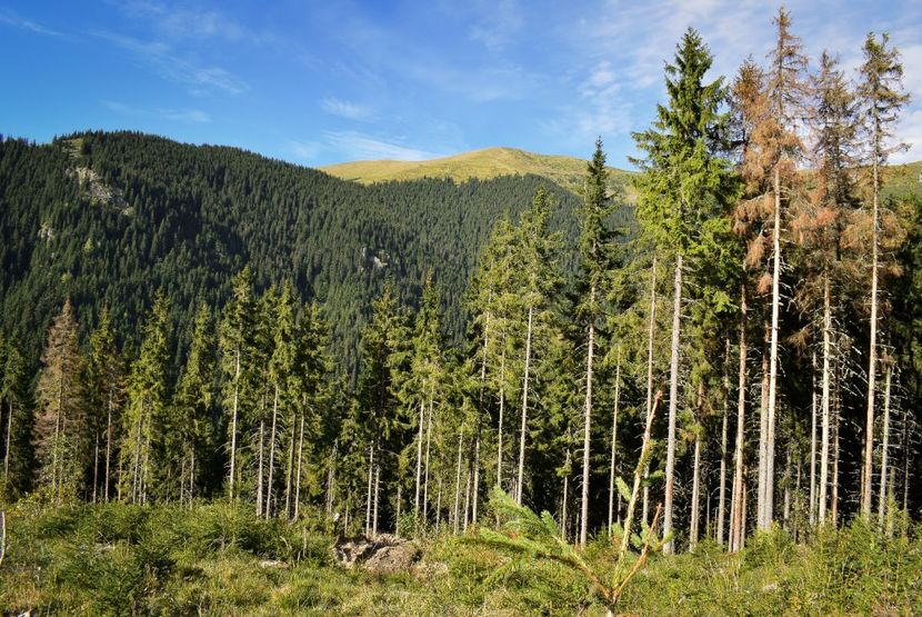  - Inceput de septembrie