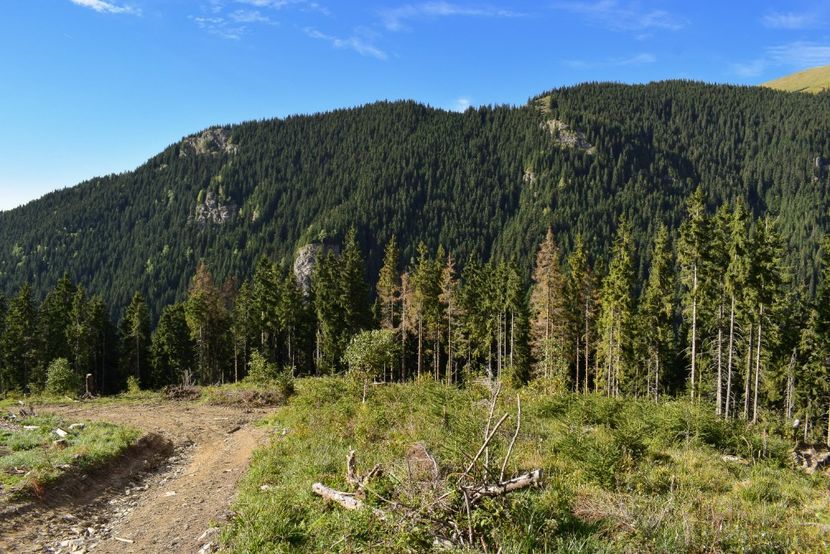  - Inceput de septembrie