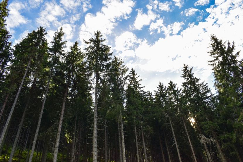  - Inceput de septembrie