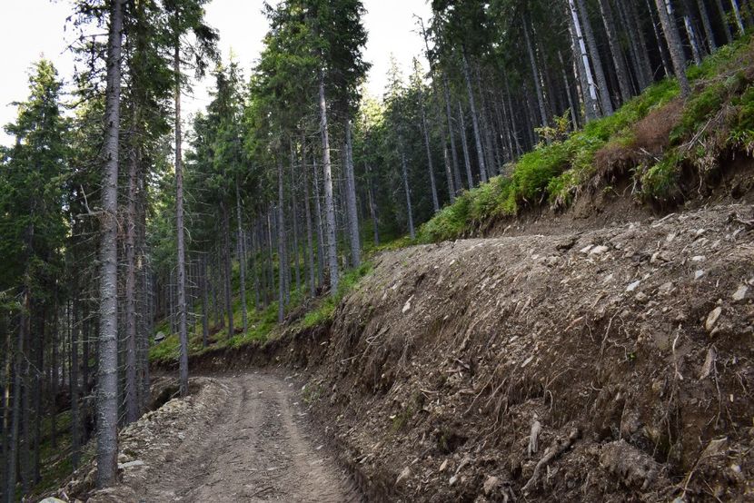  - Inceput de septembrie