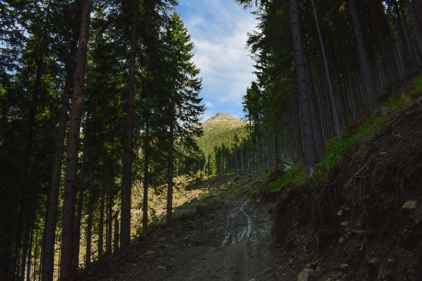  - Inceput de septembrie