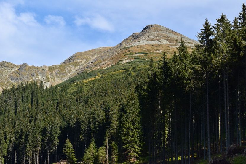  - Inceput de septembrie