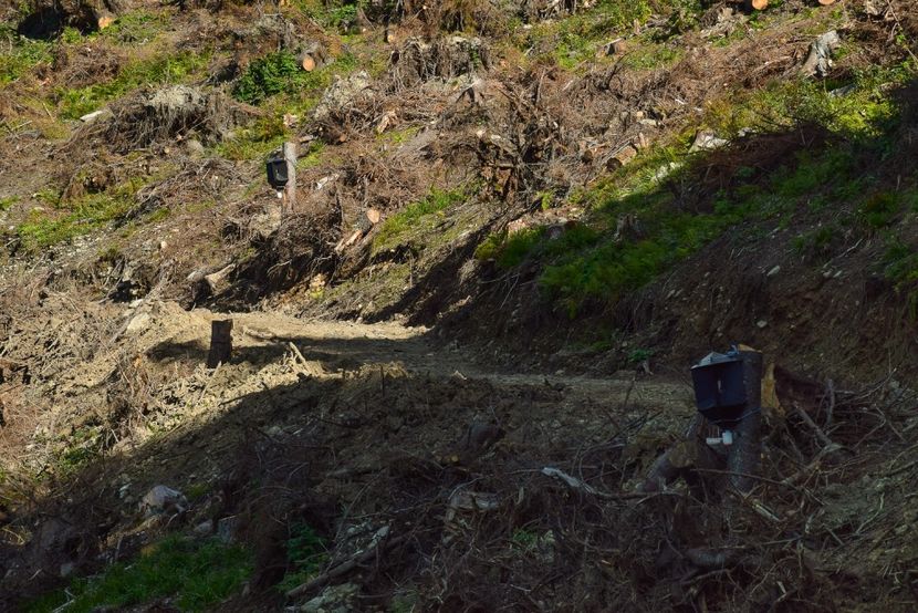  - Inceput de septembrie