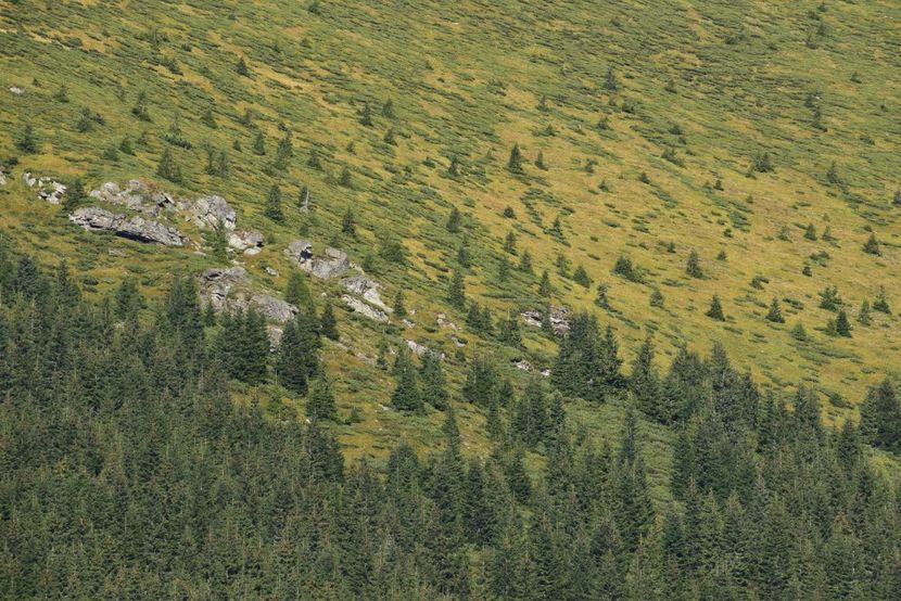  - Inceput de septembrie