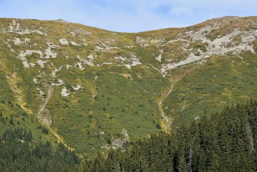  - Inceput de septembrie