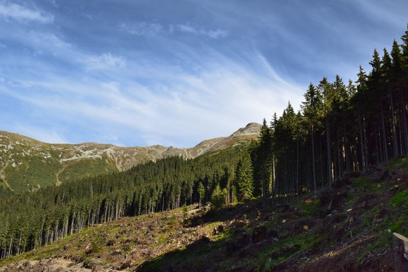  - Inceput de septembrie