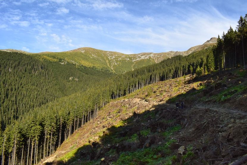  - Inceput de septembrie