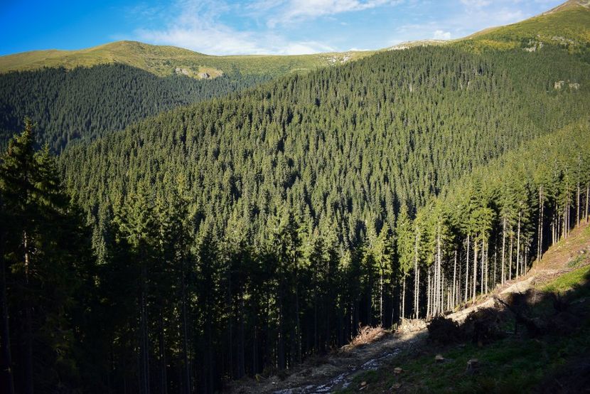  - Inceput de septembrie