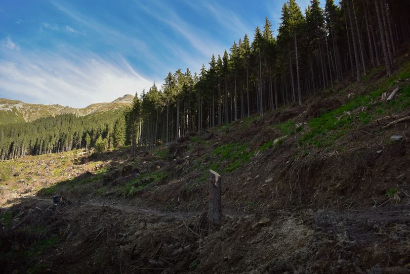  - Inceput de septembrie