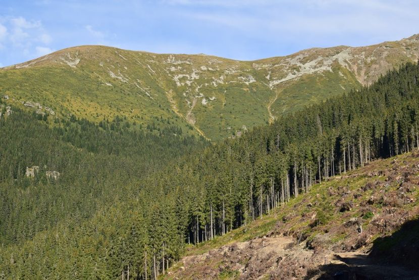  - Inceput de septembrie