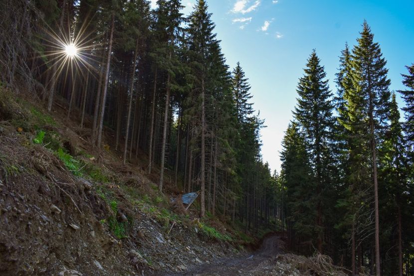  - Inceput de septembrie