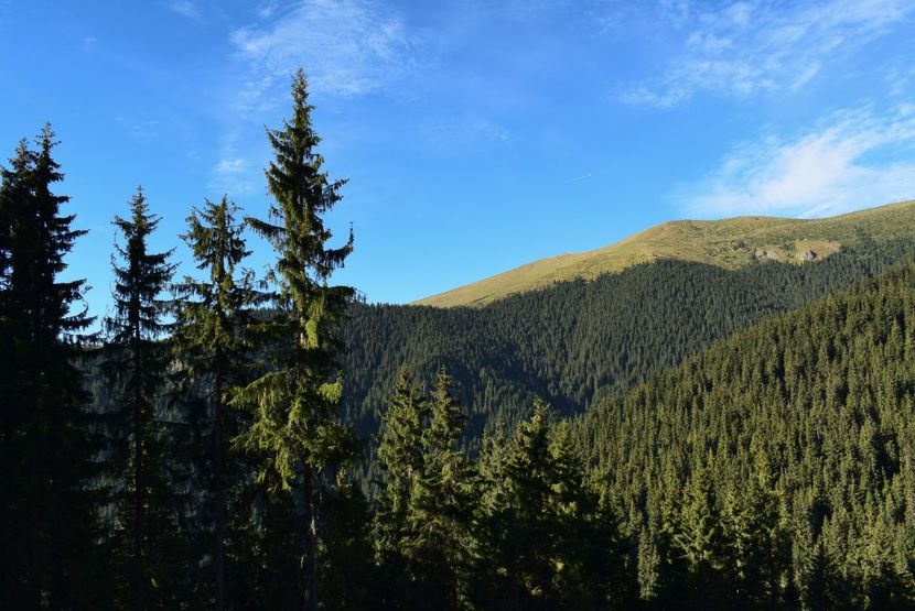  - Inceput de septembrie