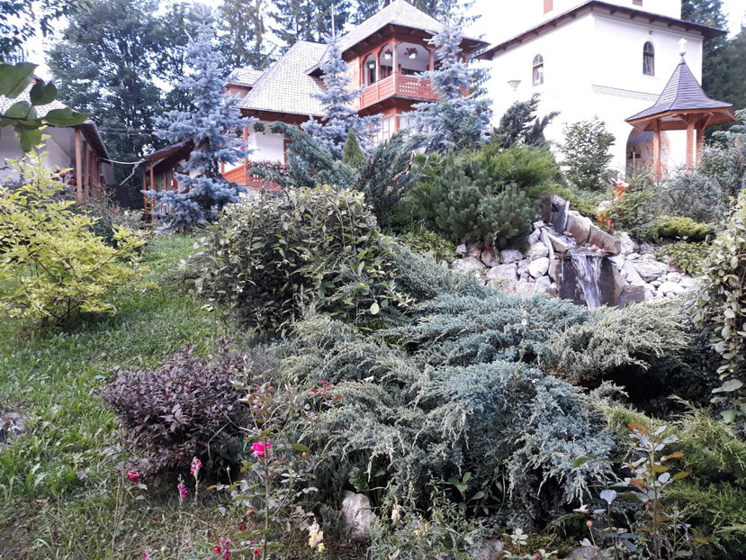 IMG-20180803-WA0005 - 25 12 2018