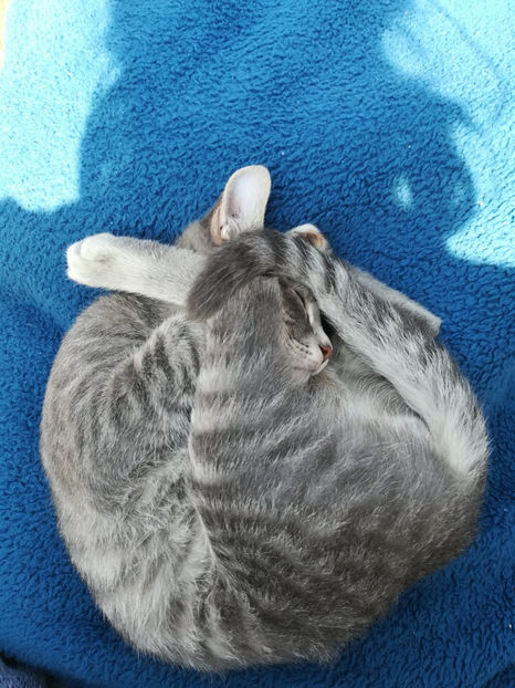 IMG-20180827-WA0006 - 25 12 2018