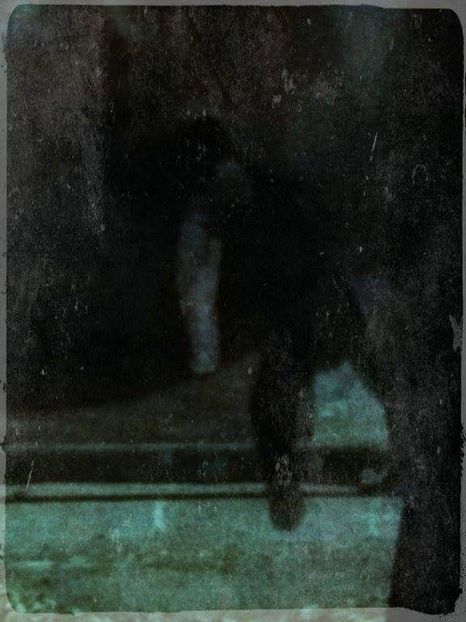  - Ce vedeti aici