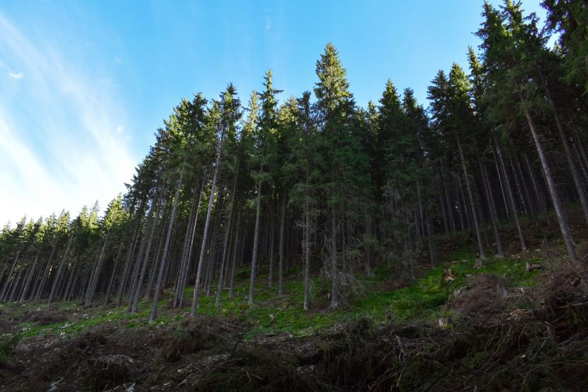  - Inceput de septembrie