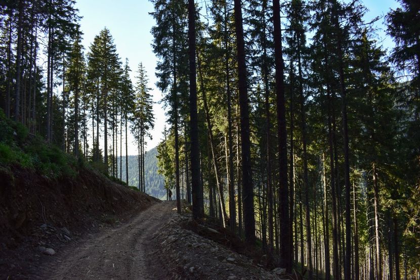  - Inceput de septembrie