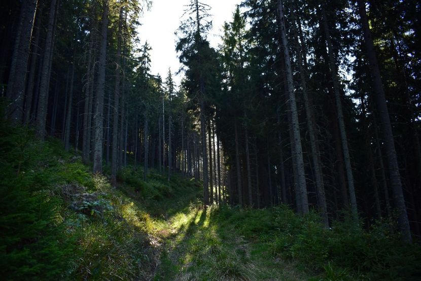  - Inceput de septembrie