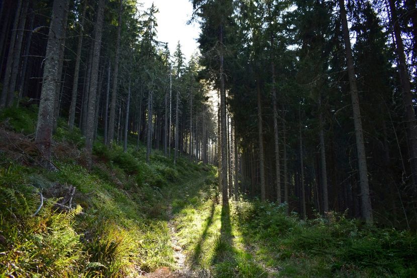  - Inceput de septembrie