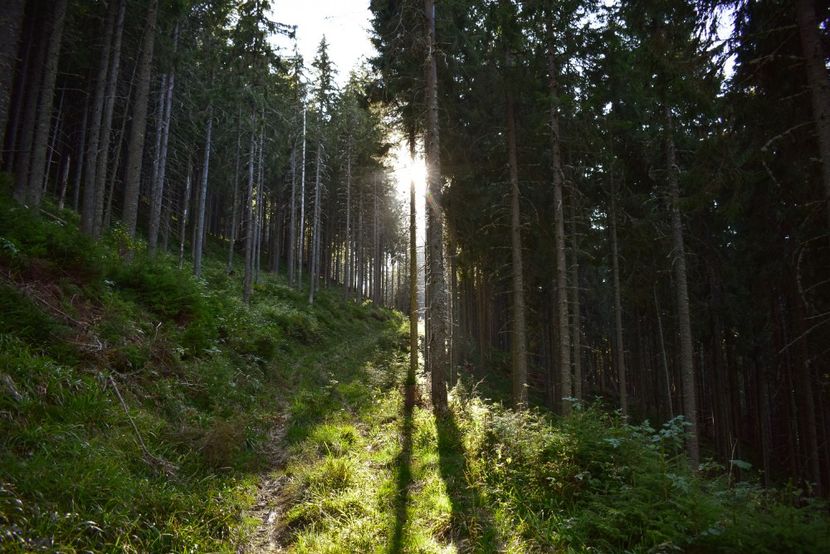  - Inceput de septembrie