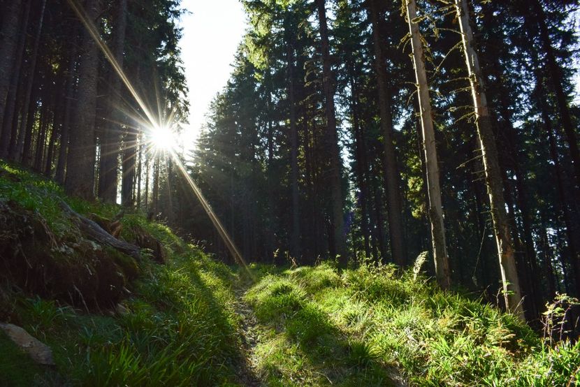  - Inceput de septembrie