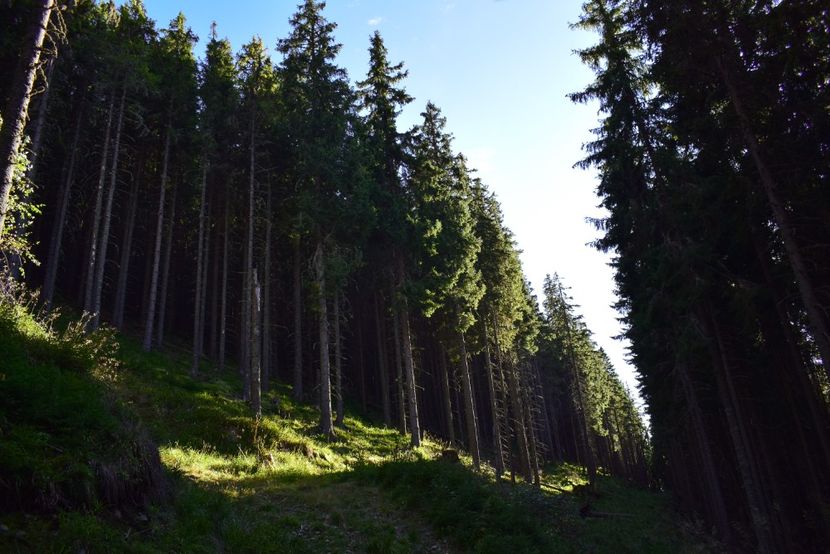  - Inceput de septembrie