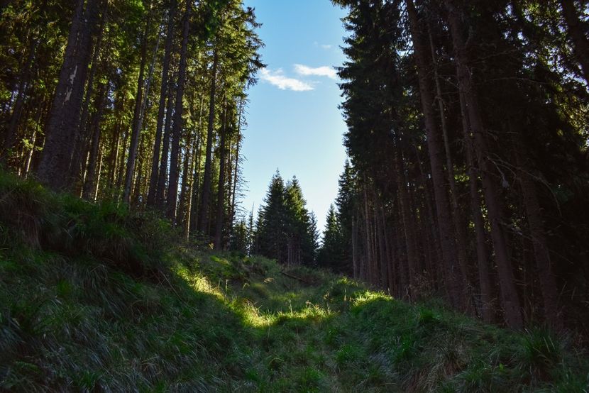  - Inceput de septembrie