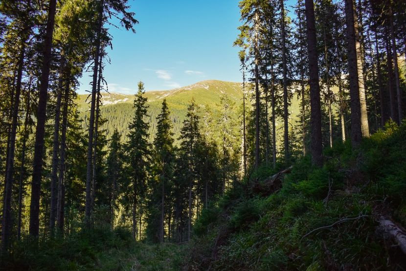  - Inceput de septembrie