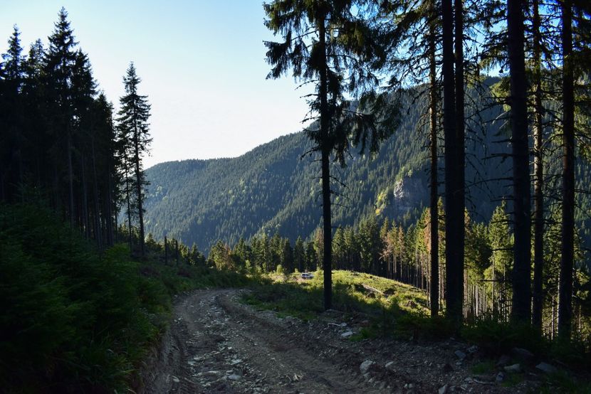  - Inceput de septembrie